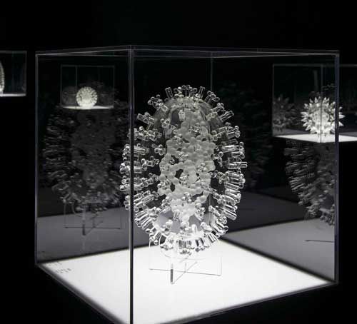 Glass Microbiology · Luke Jerram
